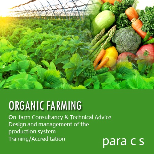 Farm Consultancy Services Farm Consultancy Services