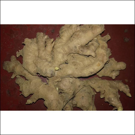 Organic Ginger Organic Ginger