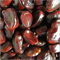 Tamarind Seeds Tamarind Seeds