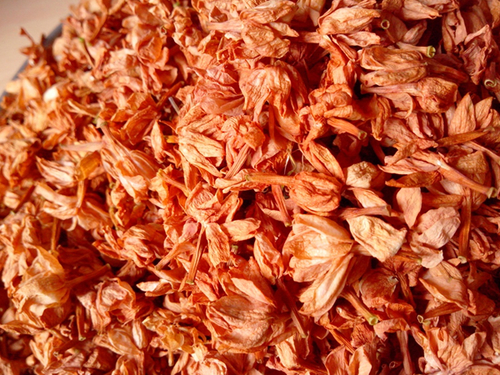 Dried Jasmine Dried Jasmine