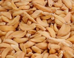 Dehydrated Garlic Dehydrated Garlic