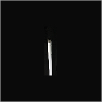 Led Tubes Led Tubes