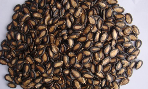 Image result for watermelon seeds