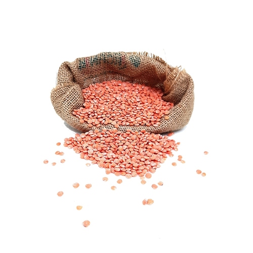Organic Masoor Malka Whole Organic Masoor Malka Whole