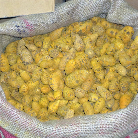 Dry Turmeric Dry Turmeric