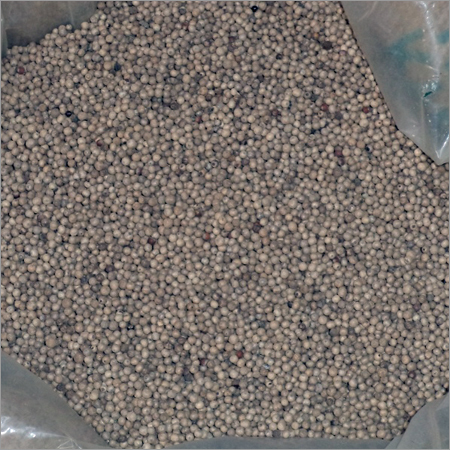 White Pepper Seeds White Pepper Seeds