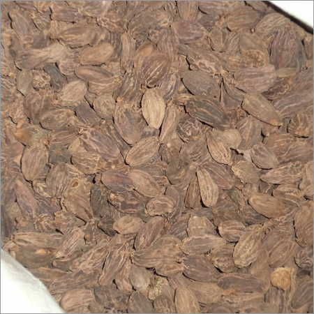 Black Cardamom Black Cardamom