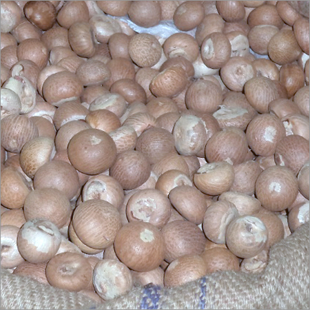Arecanuts Arecanuts