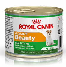 Royal Canin Mini Adult Beauty Wet Dog Food Royal Canin Mini Adult Beauty Wet Dog Food