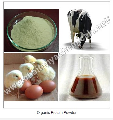 Organic Protein Powder Organic Protein Powder