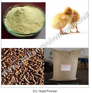 Dry Yeast Powder Dry Yeast Powder
