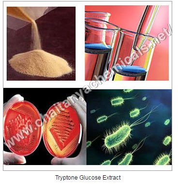 Tryptone Glucose Extract Tryptone Glucose Extract