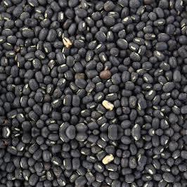 Black Lentils Black Lentils