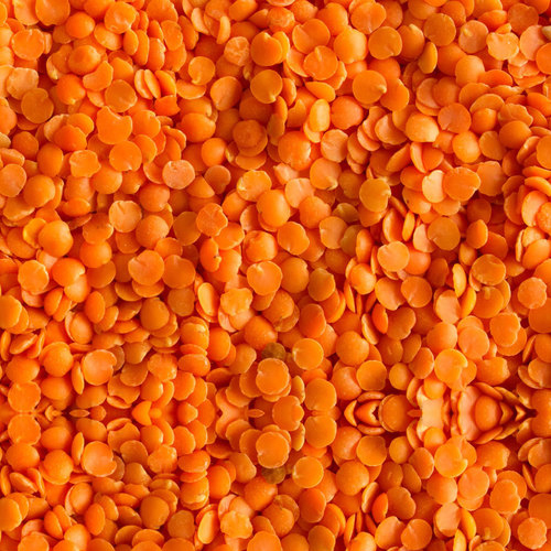 Red Lentils Red Lentils