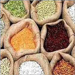 Pulses Testing Services Pulses Testing Services