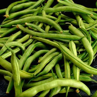 Bean Seeds Bean Seeds