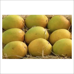 Alponso Mango Alponso Mango