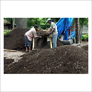 Vermi Compost Vermi Compost