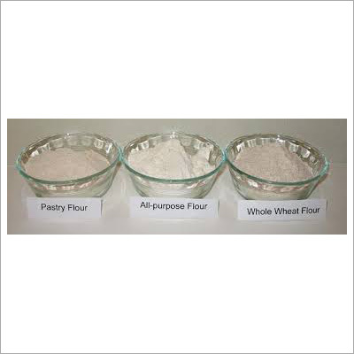 Wheat Flour Wheat Flour