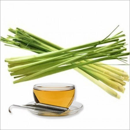 Lemon Grass Oil Lemon Grass Oil