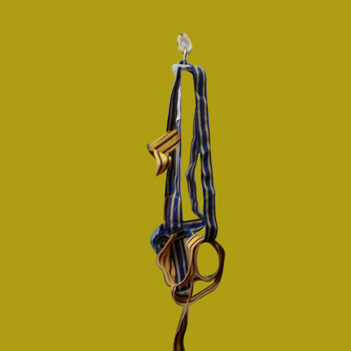 Safety Belt Safety Belt