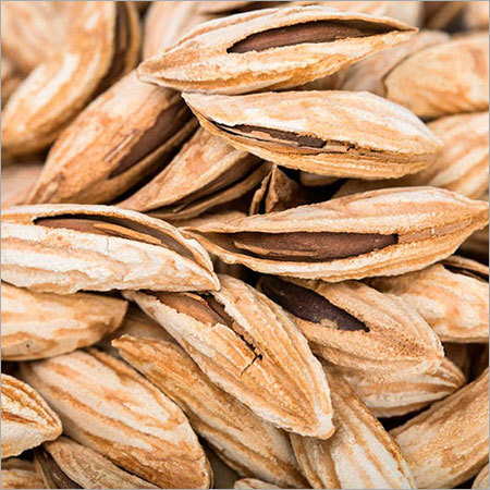 Almond Kernels Almond Kernels