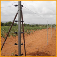 Electric Fencing Electric Fencing