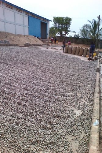 Raw Cashew Nuts Raw Cashew Nuts