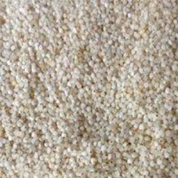 Barnyard Millet - Kudiravaali Barnyard Millet - Kudiravaali