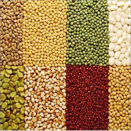 Organic Pulses Organic Pulses