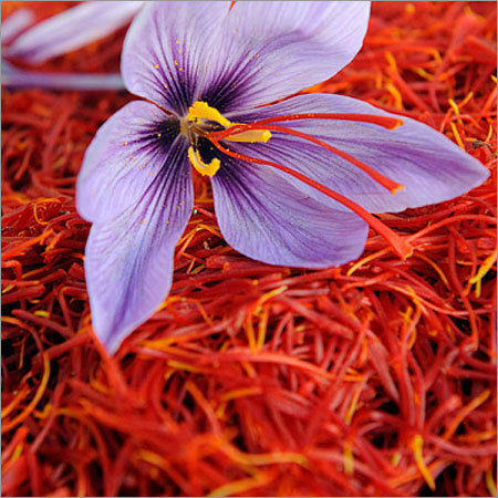 Saffron Flower Saffron Flower
