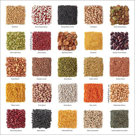 Organic Pulses Organic Pulses