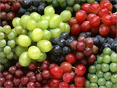Fresh Grapes Fresh Grapes