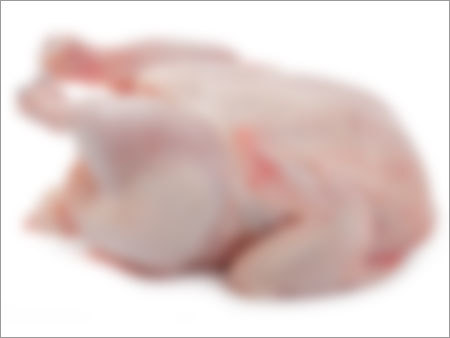 Frozen Chicken Frozen Chicken