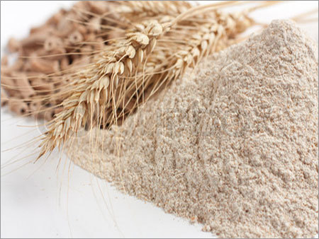 Wheat Flour Wheat Flour