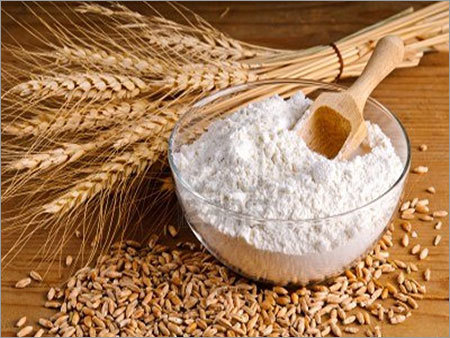 Wheat Gluten Wheat Gluten