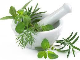 Herbal Products Herbal Products