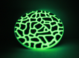 GLOW IN THE DARK STEPPING STONES GLOW IN THE DARK STEPPING STONES