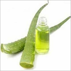 Aloe Vera Oil Aloe Vera Oil