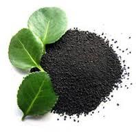 BIO GREEN FERTILIZERS BIO GREEN FERTILIZERS
