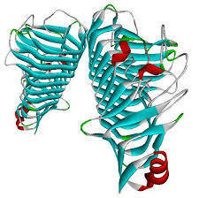 Pectinase Pectinase