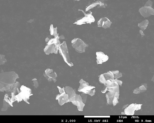 Expanded Graphite Powder Expanded Graphite Powder