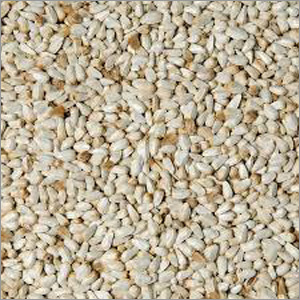 Safflower Seeds Safflower Seeds