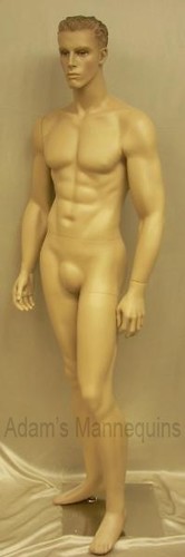 Male Mannequins Male Mannequins