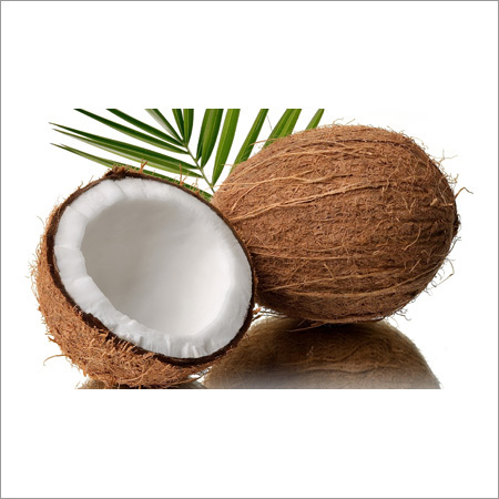 Fresh Coconut Fresh Coconut