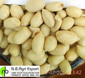 Fresh Blanched Groundnuts Fresh Blanched Groundnuts