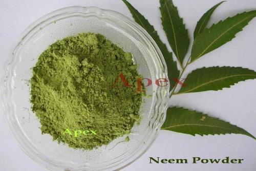 Neem Leaves Powder Neem Leaves Powder