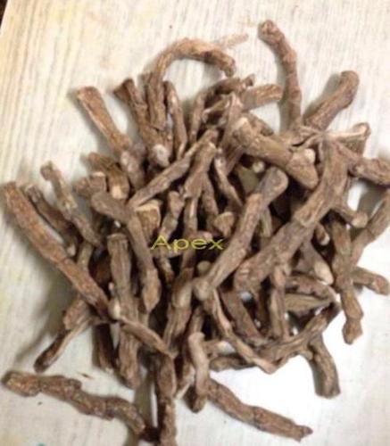 Accorus Calamus Powder Accorus Calamus Powder