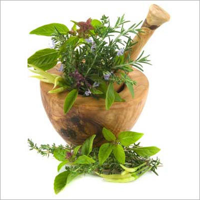 Medicine Herbs Medicine Herbs