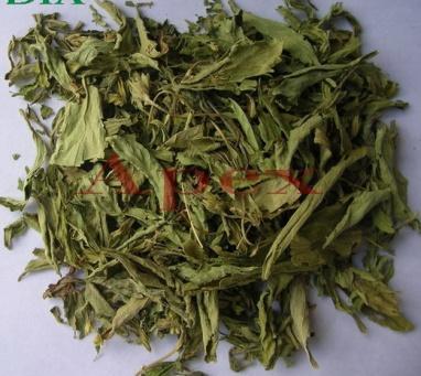 Stevia Leaves Powder Stevia Leaves Powder